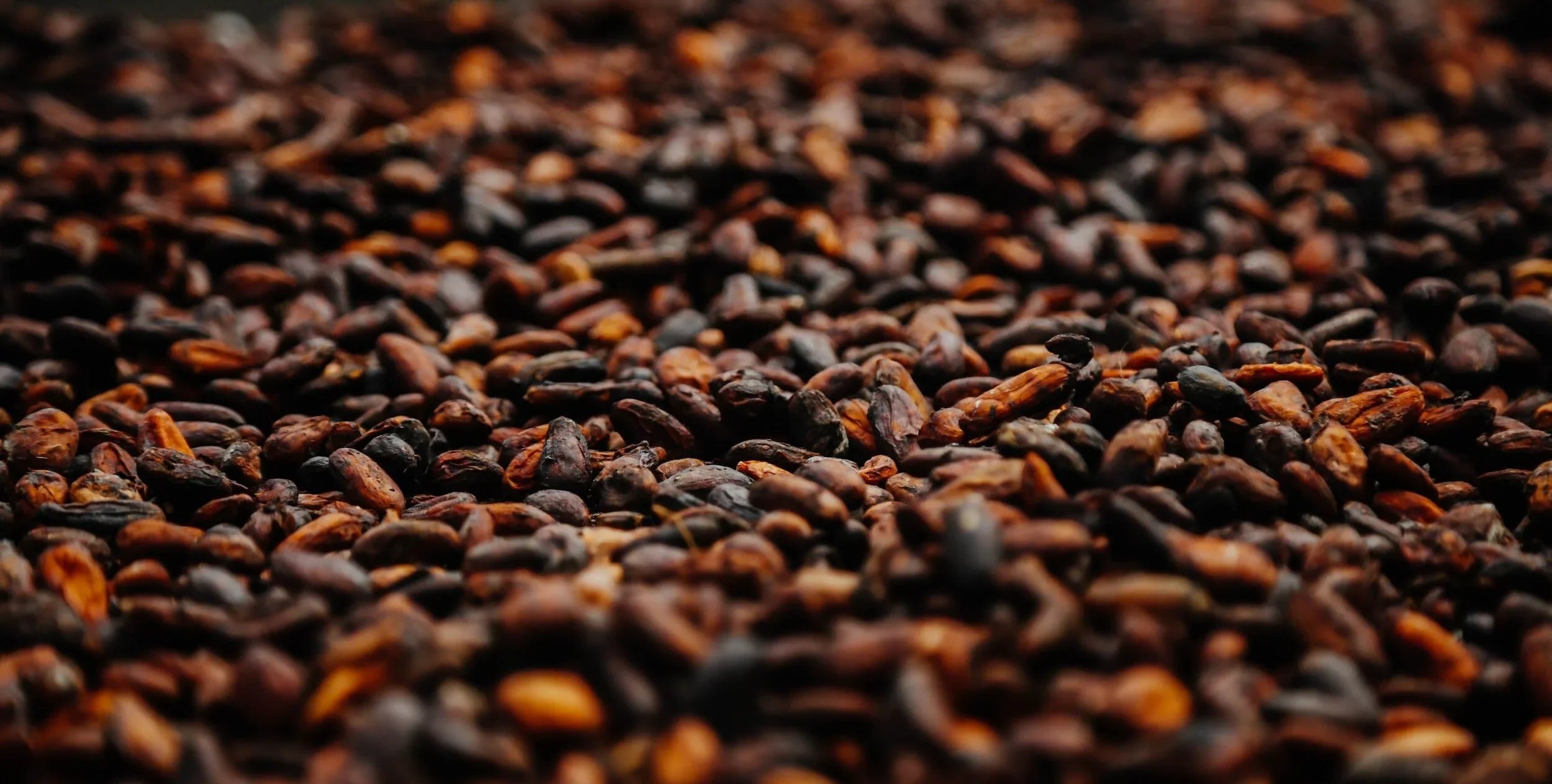 The Process of Making Chocolate