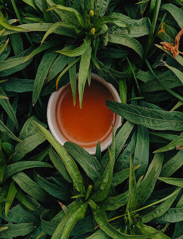 <p>Chocolate</p><p>Tea Ceremony</p>